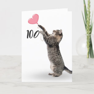 juguetón tabby cat para la tarjeta de cumpleaños n