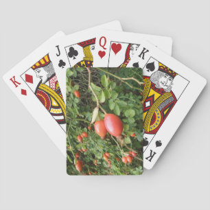 Juicy Red Rose Hips Jugando Cartas