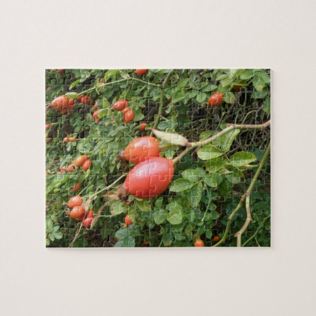 Juicy Red Rose Hips Puzzle (Horizontal)