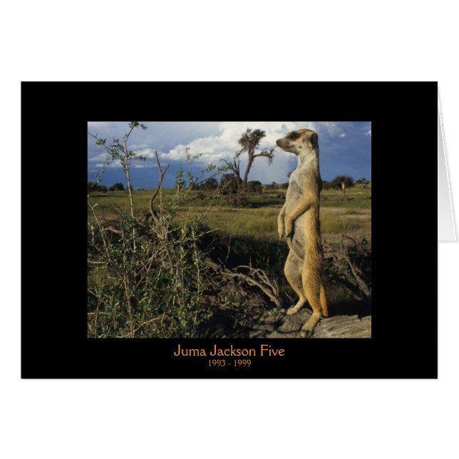 Juma - tarjetas de las leyendas (Anverso (Horizontal))