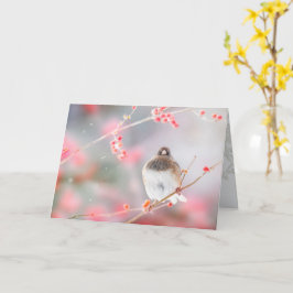 "Junco de Bayas de Invierno", Tarjeta de Felicitac