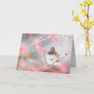 "Junco de Bayas de Invierno", Tarjeta de Felicitac