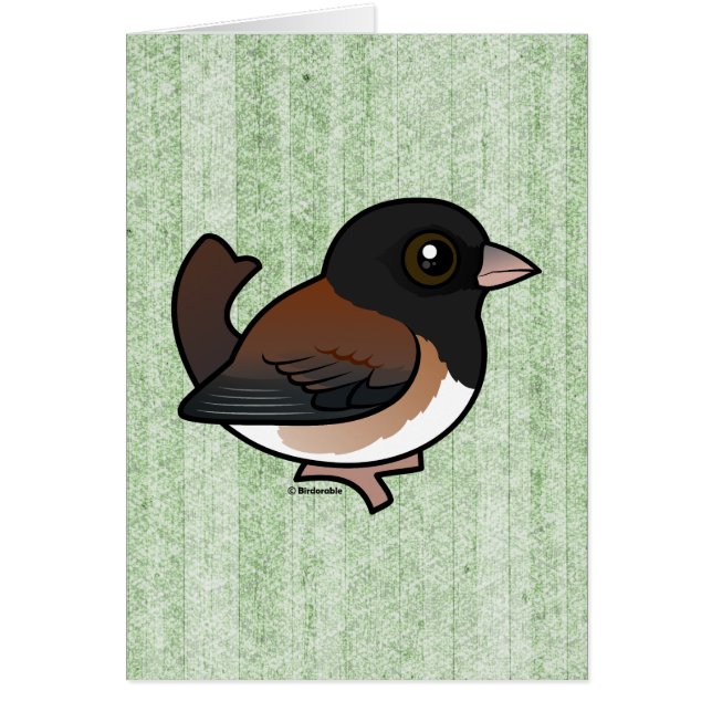 Junco de ojos oscuros (Oregón) (Frente)