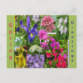 June Flowers Collage Cust. Postal