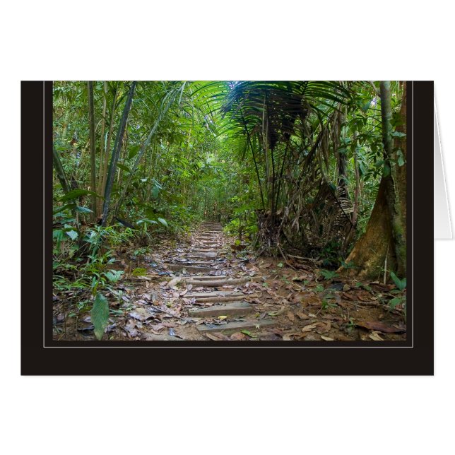 jungle (Anverso (Horizontal))