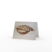 Junonia Shell - Tarjeta de saludo en blanco