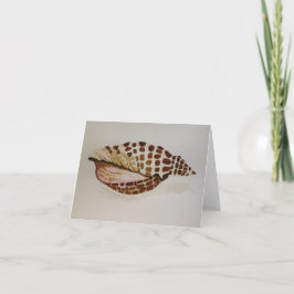 Junonia Shell - Tarjeta de saludo en blanco