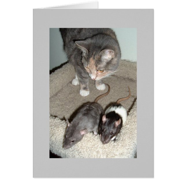 juntos podemos (Frente)