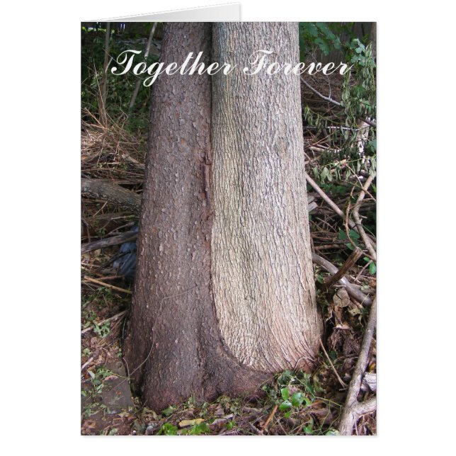 Juntos por una tarjeta ~ (Frente)