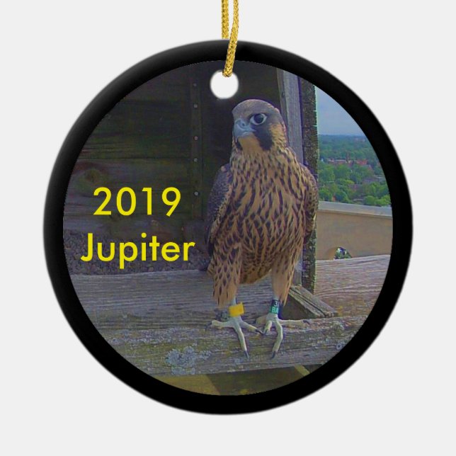 Júpiter de ornamento cerámico de 2019 (Frente)
