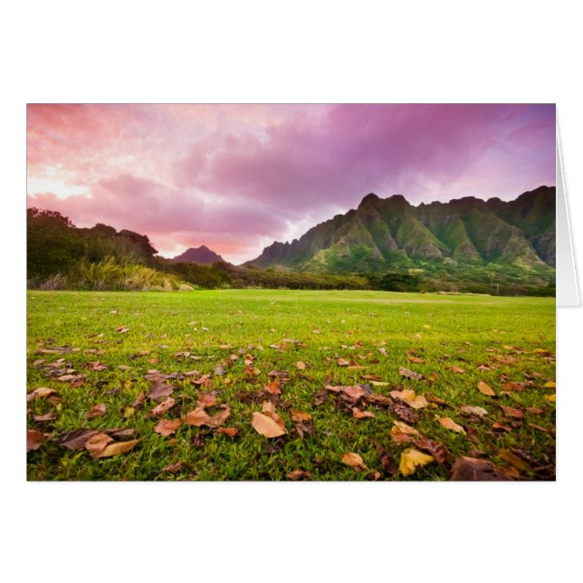 Jurásico Sunset (Anverso (Horizontal))