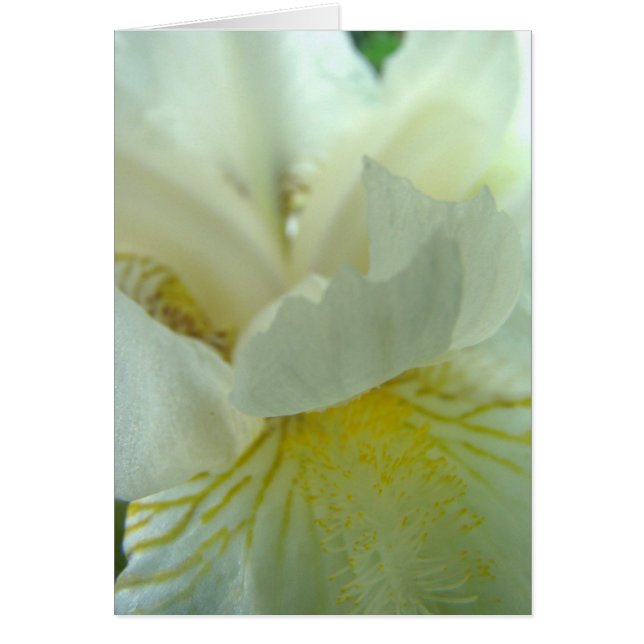 juste de tout (Frente)