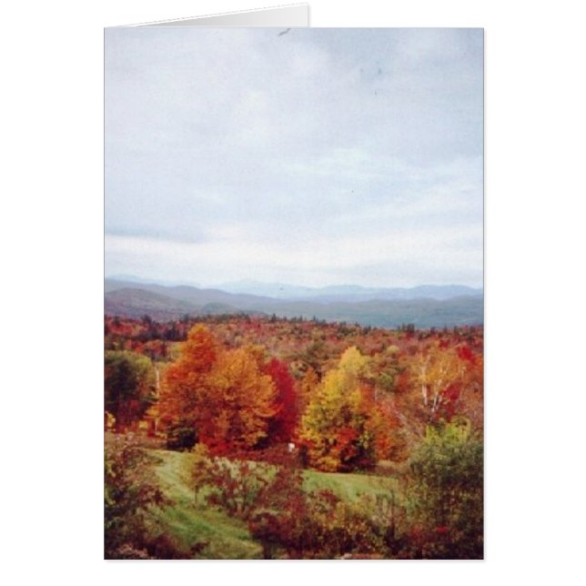 "Justo detrás de la casa" (Frente)