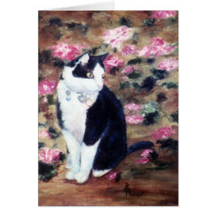 Kaboodles Cat Blank Card