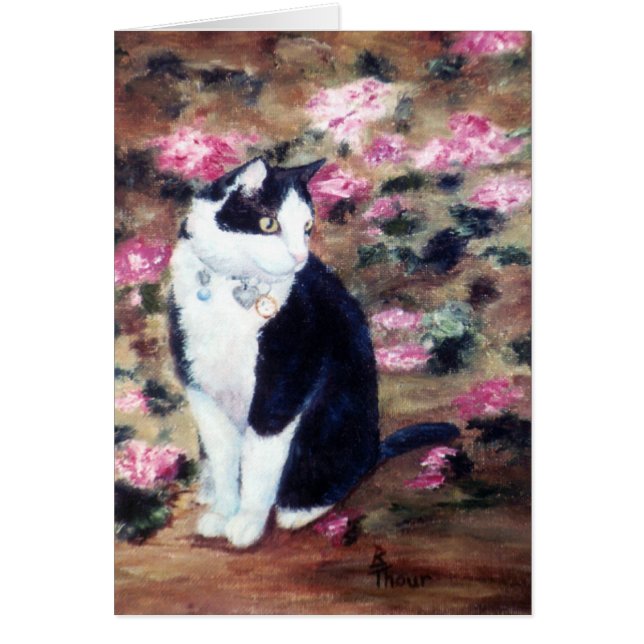 Kaboodles Cat Blank Card (Frente)