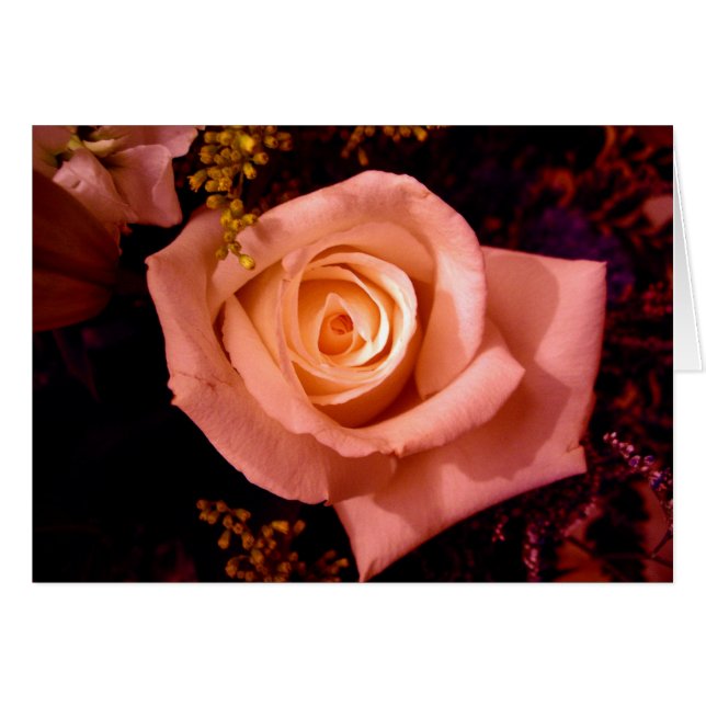 Kacie subió (Anverso (Horizontal))