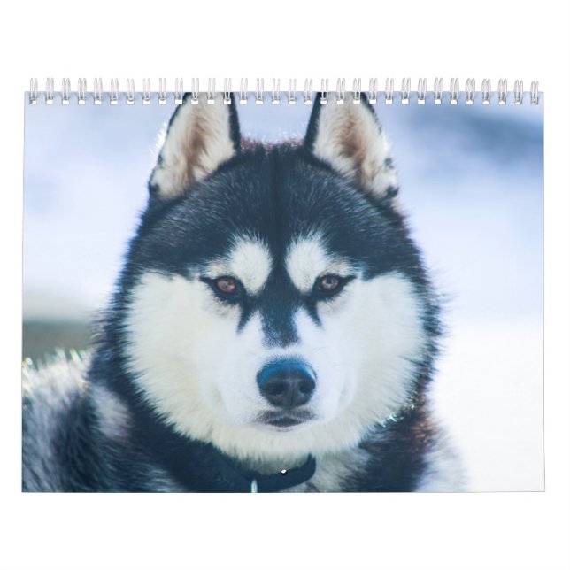 Kaeru El Calendario Husky (Tapa)