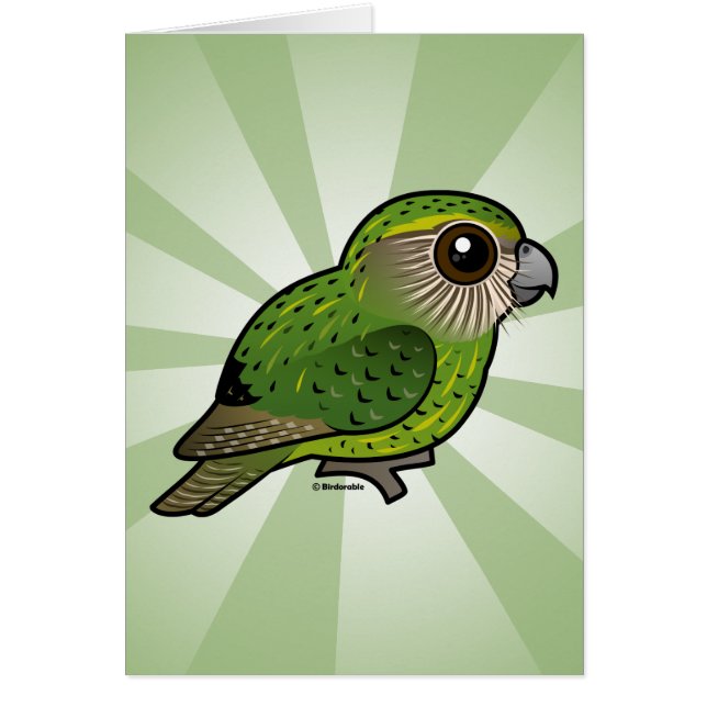 Kakapo de Birdorable (Frente)