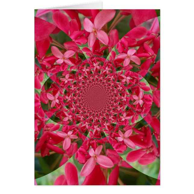Kaleidoscope de Crimson: Arte de flores con leche  (Frente)