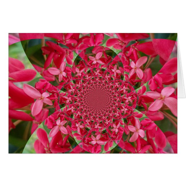 Kaleidoscope de Crimson: Arte de flores con leche  (Anverso (Horizontal))