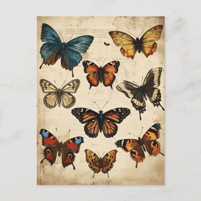 Kaleidoscope mariposa: postal vintage (Anverso)