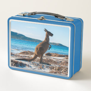 Kangaroo en la playa Lucky Bay Australia