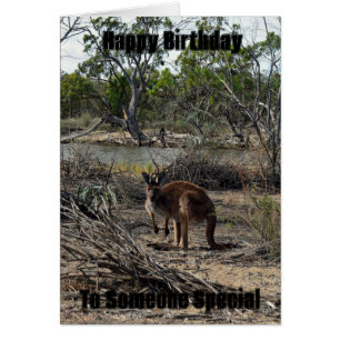Kangaroo Entretanto En La Tarjeta De Cumpleaños Bi