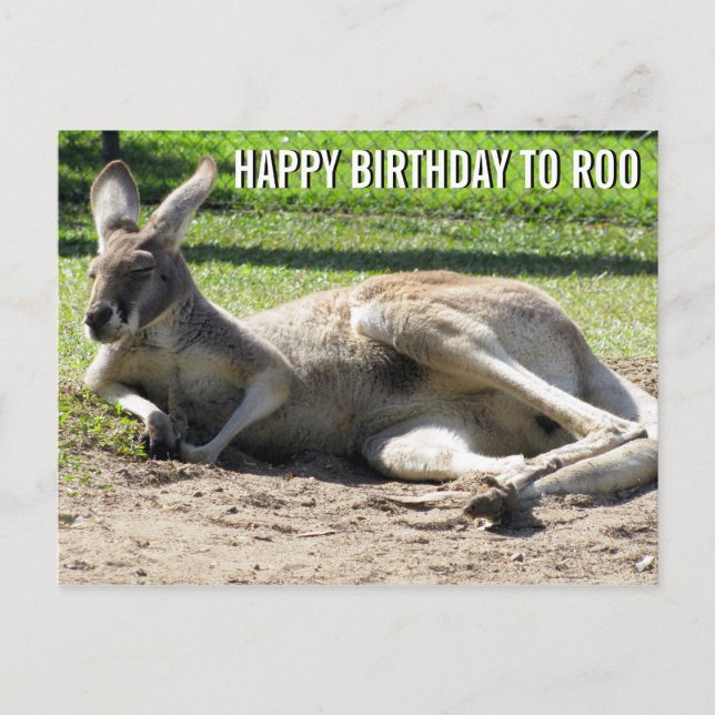 Kangaroo Feliz cumpleaños a la postal de Roma (Anverso)