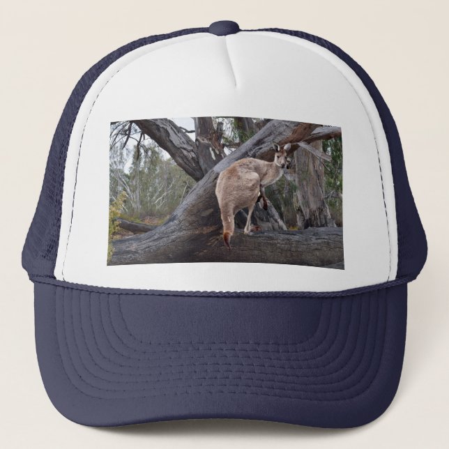 Kangaroo Y Gum Trees, Gorra (Anverso)
