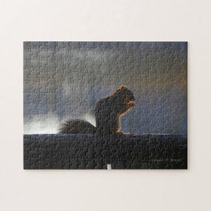 Kansas Fox Tail Squirrel rompecabezas Jigsaw