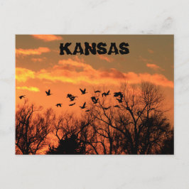 Kansas Golden Sunset con gansos, árboles. Tarjeta
