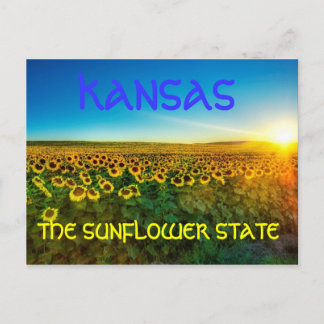 Kansas "La postal del estado del girasol"