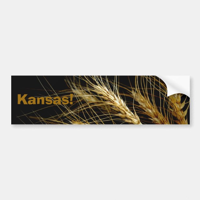 ¡Kansas!  Pegatina para el parachoques de la (Frente)