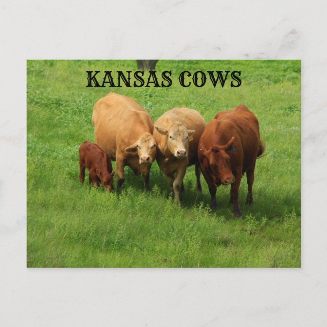 Kansas sale con la tarjeta de correo del país (Anverso)