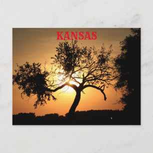 Kansas Sunset con una tarjeta postal de árbol