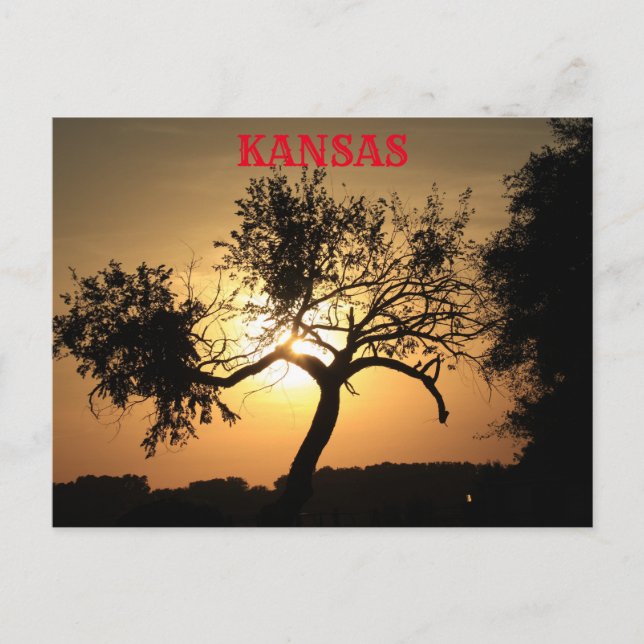 Kansas Sunset con una tarjeta postal de árbol (Anverso)