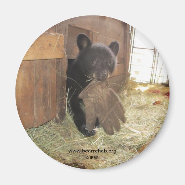 Kapalua con Glove - imán (Frente)