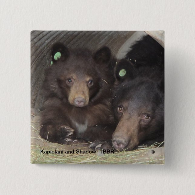 Kapiolani y sombra - botón cuadrado (Anverso)