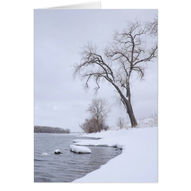 Kaposia aterrizando en invierno (Frente)