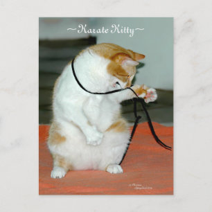 Karate Kitty Cat jugando a la postal