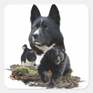 Karelian Bear Dog Pegatina