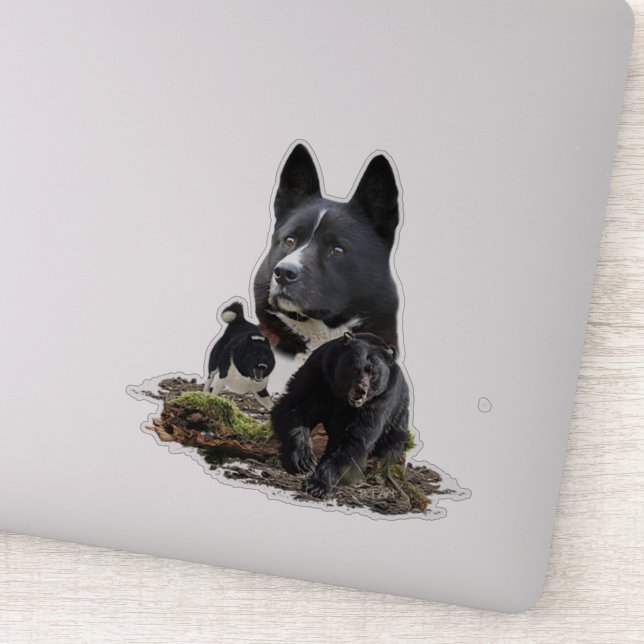 Karelian Bear Dog Pegatina (Detalle)