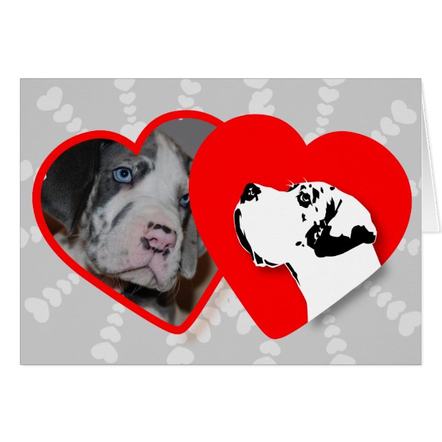 ¡Karten für Ihre Fotos! (Anverso (Horizontal))