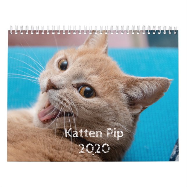 Katten Pip - Calendario 2020 (2) (Tapa)