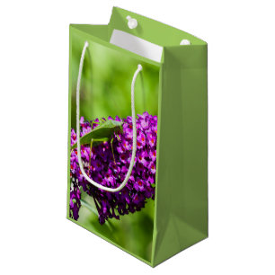 katydid energy pequeña bolsa de regalo