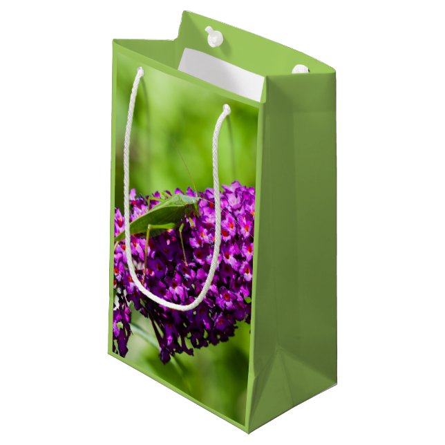 katydid energy pequeña bolsa de regalo (Angulo Anverso)