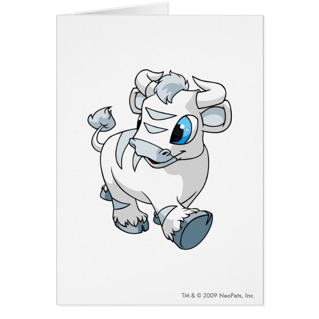 Kau blancos (Frente)