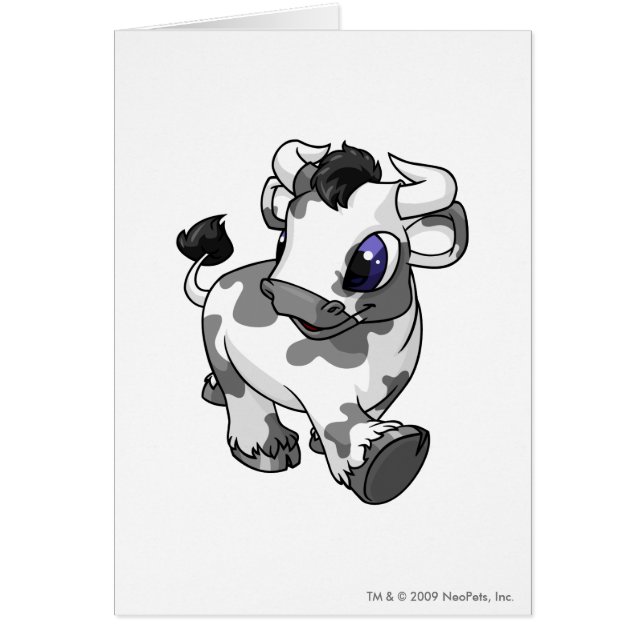 Kau manchados (Frente)