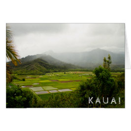 Kauai, Hawaii ・ Campos exuberantes ・ Escenario pai