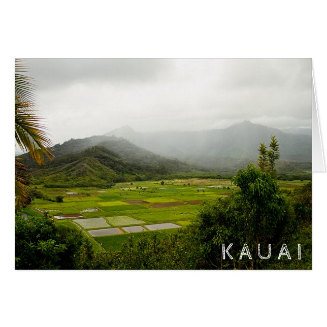 Kauai, Hawaii ・ Campos exuberantes ・ Escenario pai (Anverso (Horizontal))